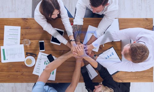Project Coordinators

